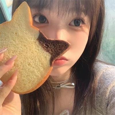 功夫兔与菜包狗第一季海报